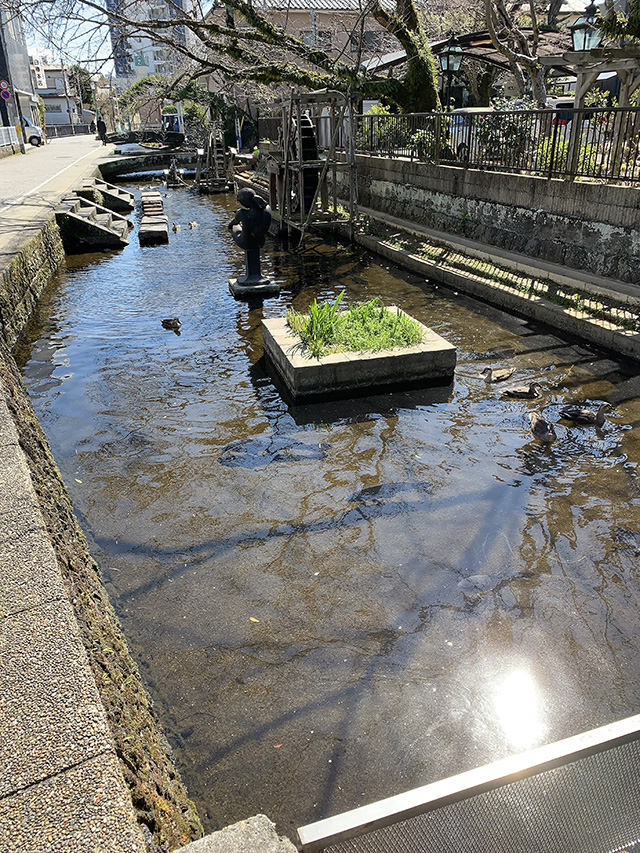 Mishima Pond