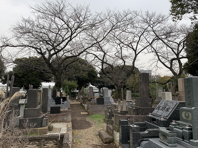 Cemetery3