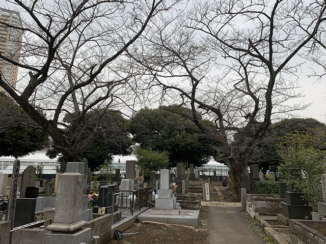 Cemetery6