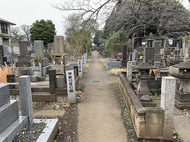 Cemetery7