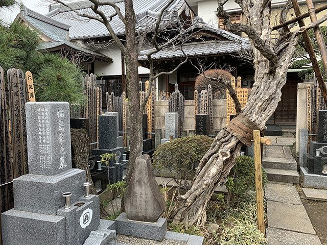 Yanaka Cemetery