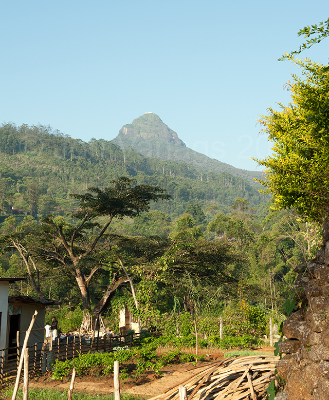 Adams Peak (Sri Prada in the distance)