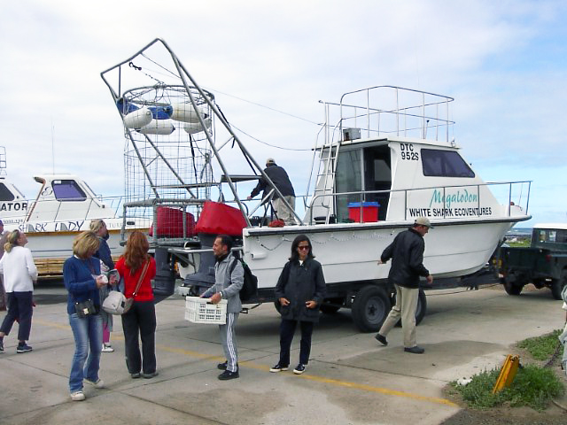 Shark boat