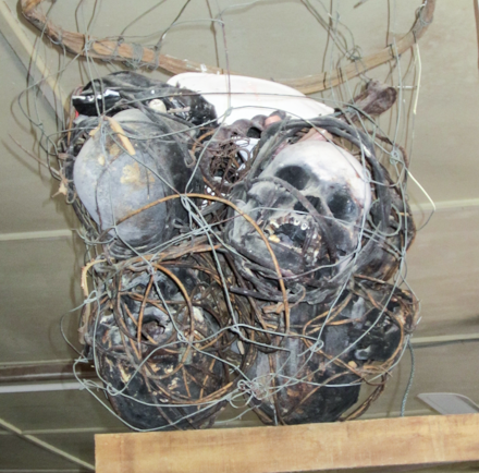 Skulls