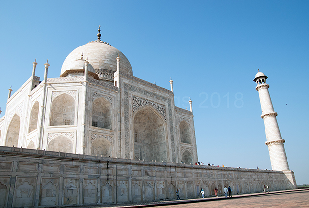 Taj_Rear