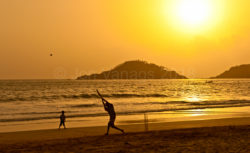 Cricket at sunset, Goa