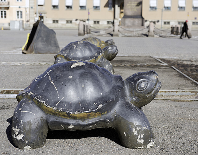 Helsinki_Turtle