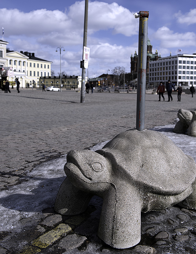 Helsinki_Turtle2