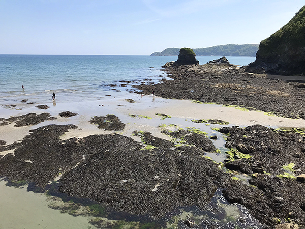 Charlestown_beach3