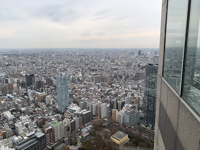 Tokyo Skyline