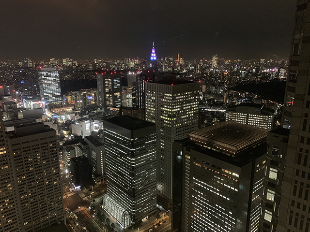 Tokyo Skyline